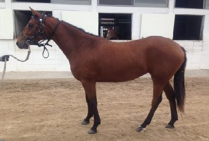 �����ǽ� ����