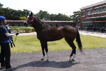 ����ī (Erica) ����