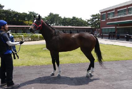 ����ī ����