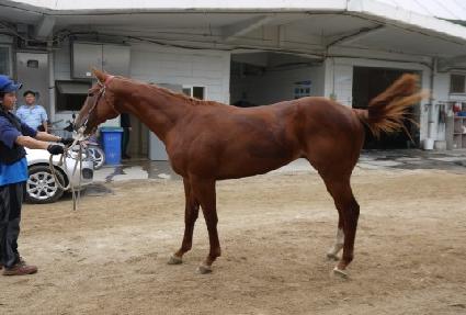 �޽� ����