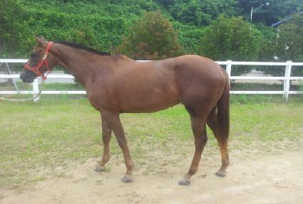 ���ֿ��� ����