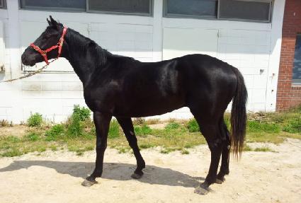 �������� ����