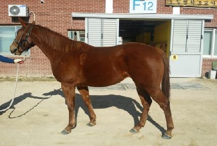 �ѳ���Ű ����