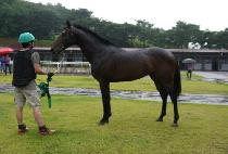 ������ī�� (SAMJEONG SKY) ����