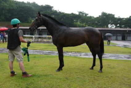 ������ī�� ����