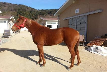 �ϰ��ʽ� ����