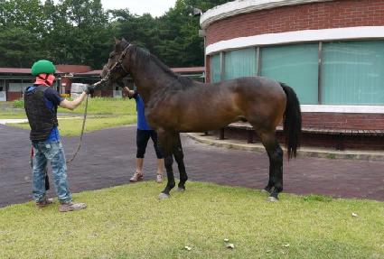 ���̳뽴�� ����