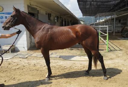 �ö��׽��� ����