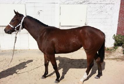 ��ũ������ ����