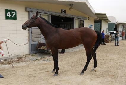 ��Ű��Ʈ ����