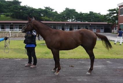 ��Űķ�� ����