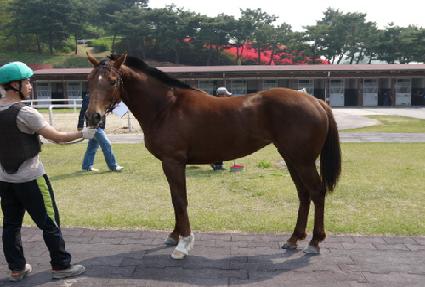 �½�ŸƮ ����