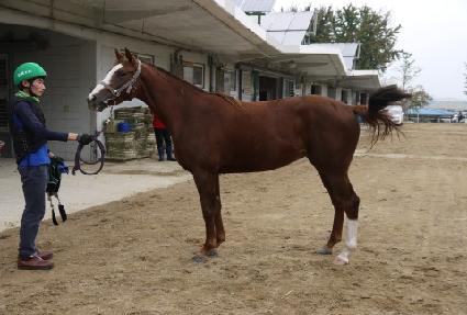 ����Ʈ�� ����