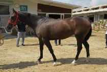 Touch Flying picture