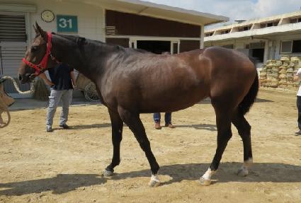 ��ġ�ö��� ����