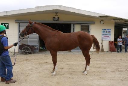 �׷���ķ�� ����