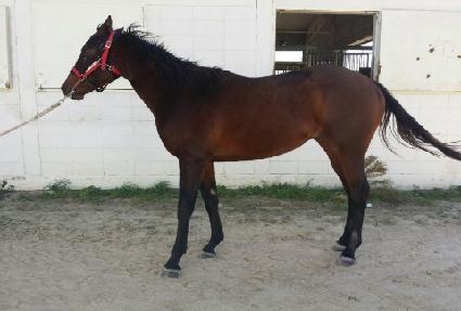 Ǯ���� ����