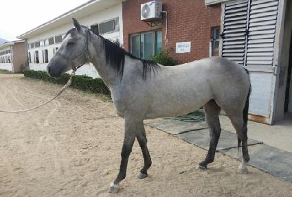 �뺸���� ����