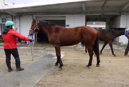 �������� ����