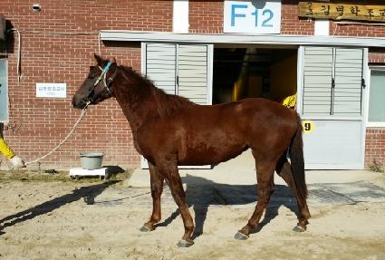 õ����� ����