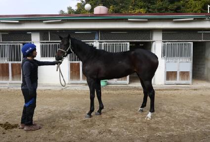 ���ũ�ν� ����