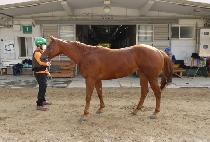 ����� (Spend) ����