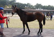 ��Ű���� (LUCKY MUSIC) ����