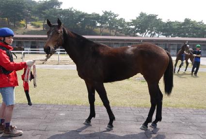 ��Ű���� ����