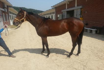 �������� ����