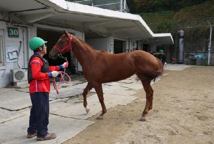 �������� ����