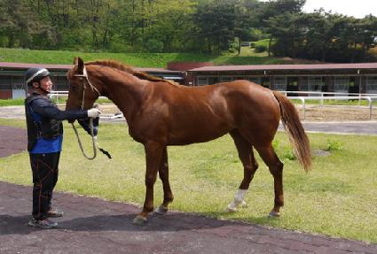 ��â�� ����