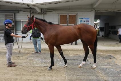 ��ũ��Ÿ ����