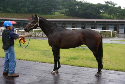 ���ŷ�� ����