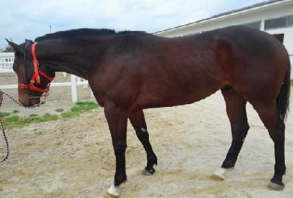 �׸��̸� ����