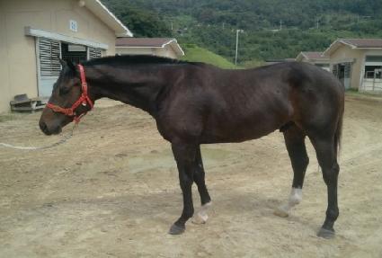 ���Ϸ�Ű ����