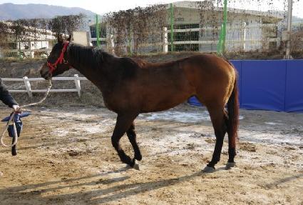 ��������� ����