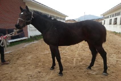 �ͻ��� ����