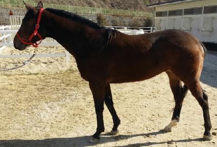 �������� ����