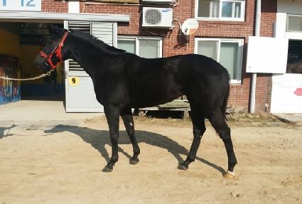 ������� ����