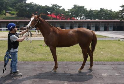 �ݰ��ұ� ����