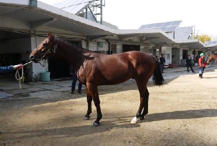 ����극�� ����