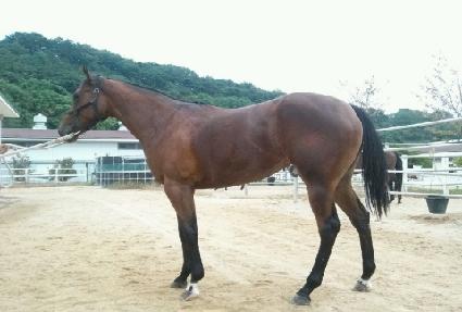 ���������� ����