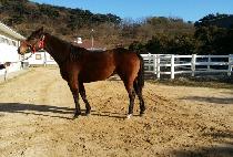 ���ǿ����� (HAPPY ENERGY) ����