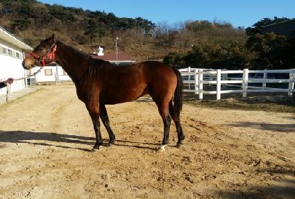 ���ǿ����� ����