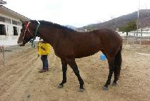 ���ϱ׷��� (MACH GRAND) ����