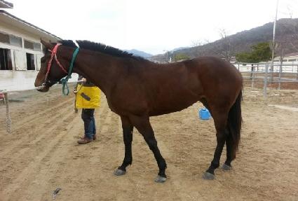 ���ϱ׷��� ����