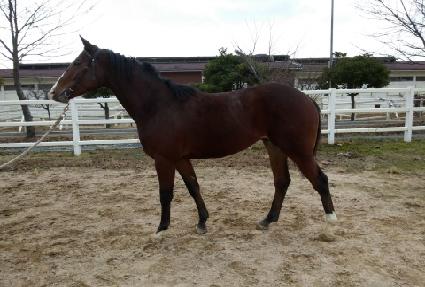 ����ְ� ����