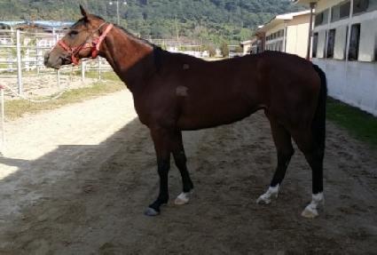 ���Ͽ�����Ʈ ����