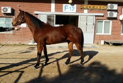 �������� ����