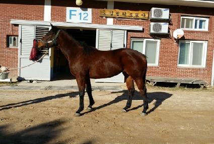 �����÷� ����